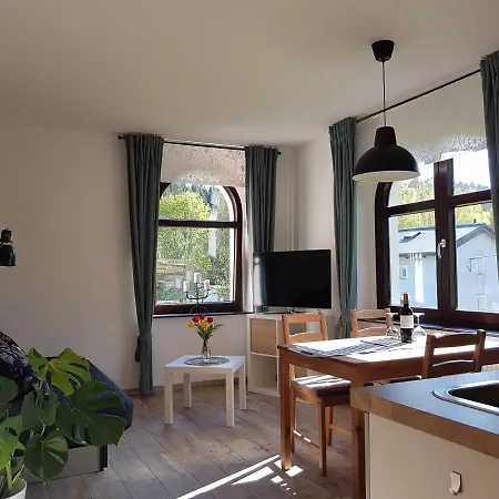 Ferienwohnung Wegespinne Zwota Экстерьер фото