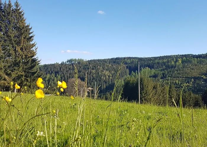 Ferienwohnung Wegespinne