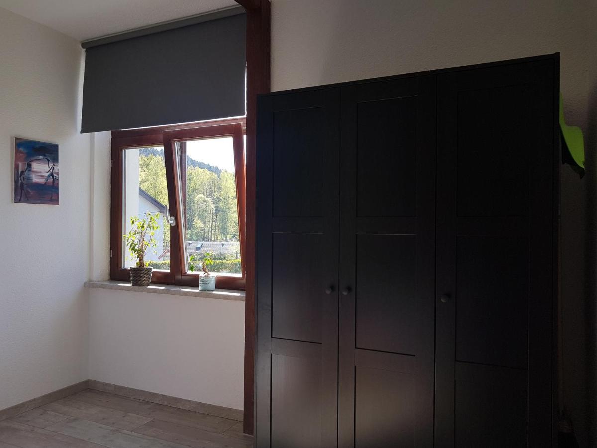 Apartment Wegespinne Zwota