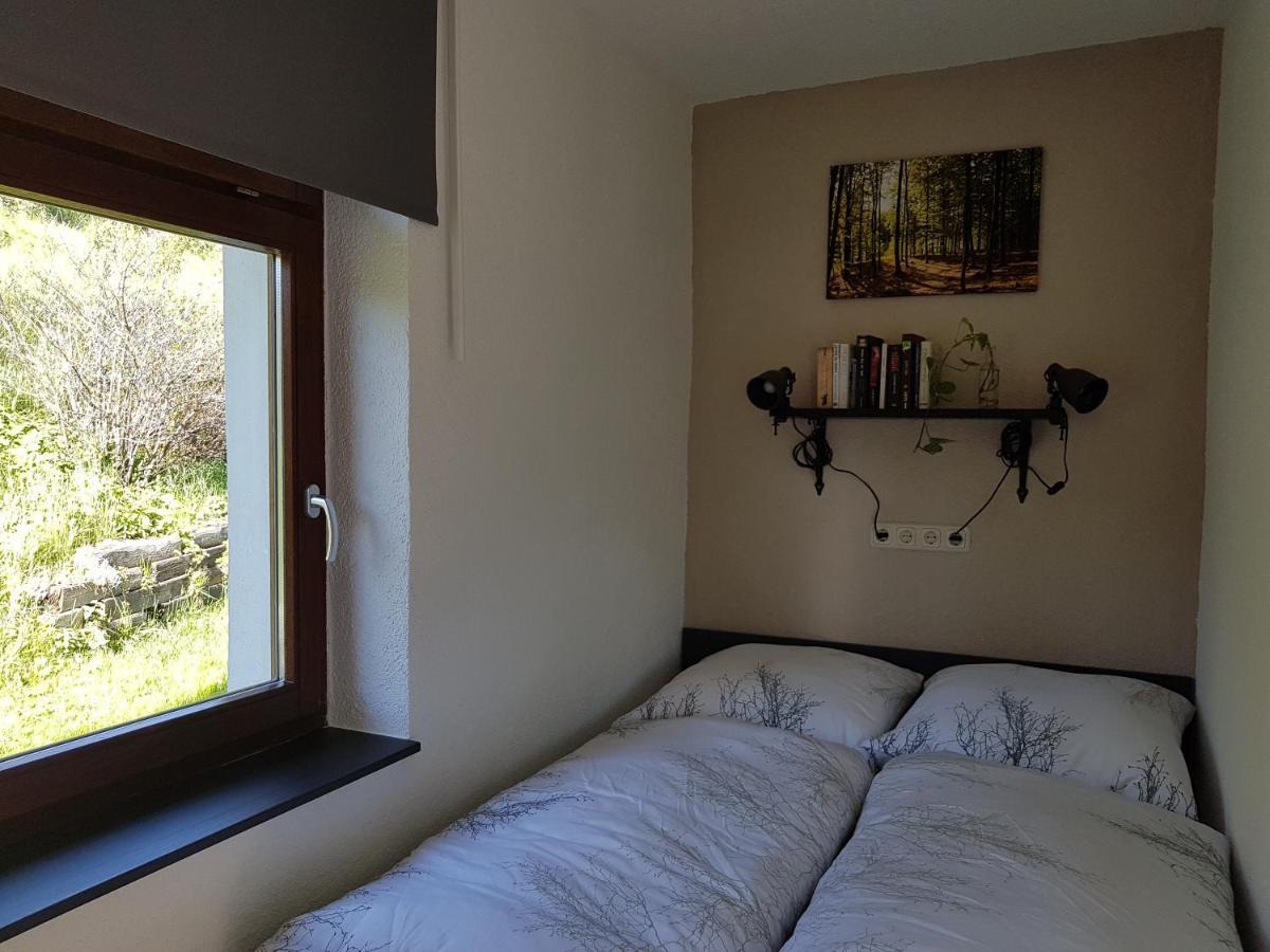 Wegespinne Apartment Zwota